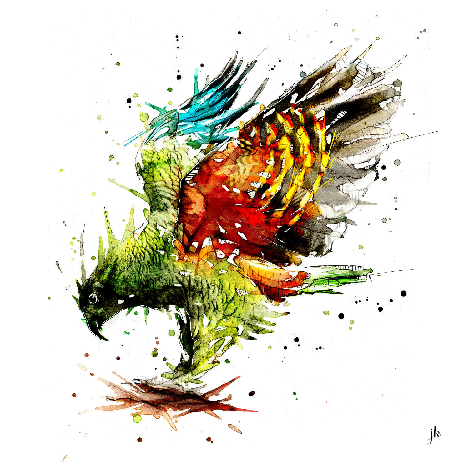 Art image of NZ bird the kea on a canvas art print