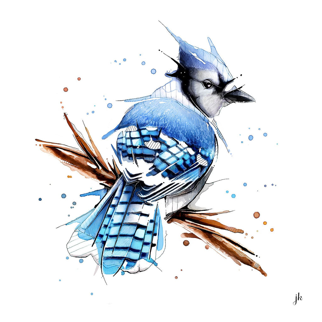 Blue Jay - Coloring Canvas - Canvas On Demand®