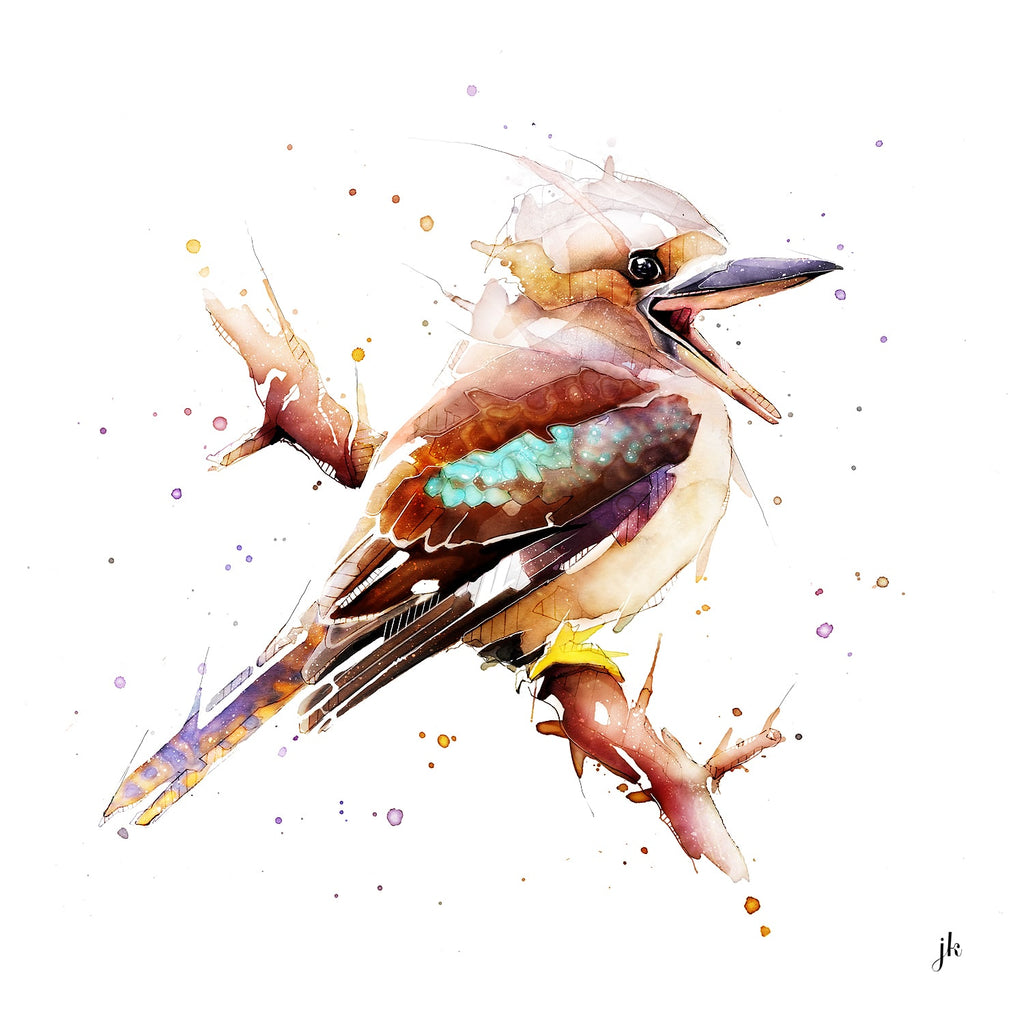 サンシェード　kookaburra Kookaburra_JeremyKyleArtist_15