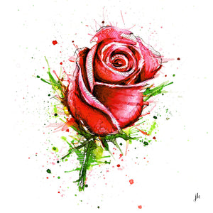 Rose Canvas Print