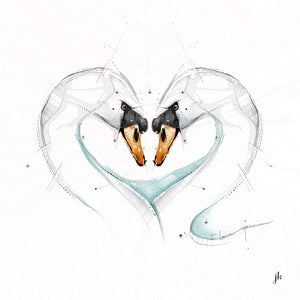 Swan Love Canvas Print