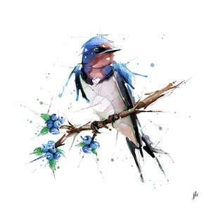 Barn Swallow Canvas Print