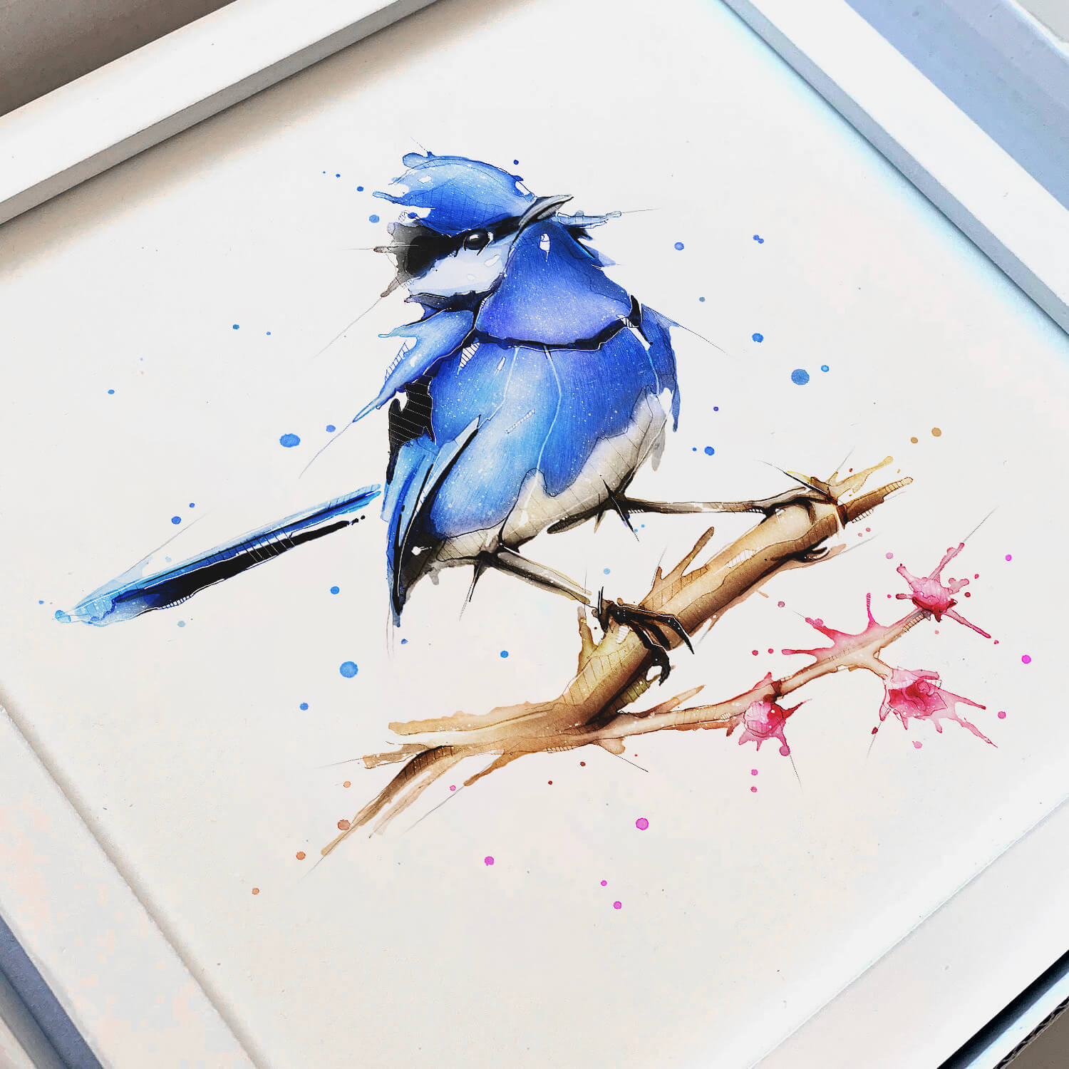 Blue Fairy-Wren Canvas Print