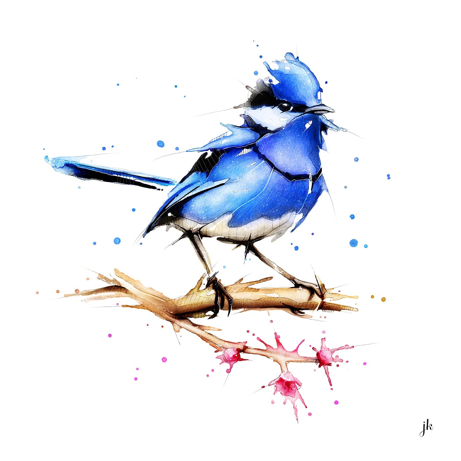 Blue Fairy-Wren Canvas Print