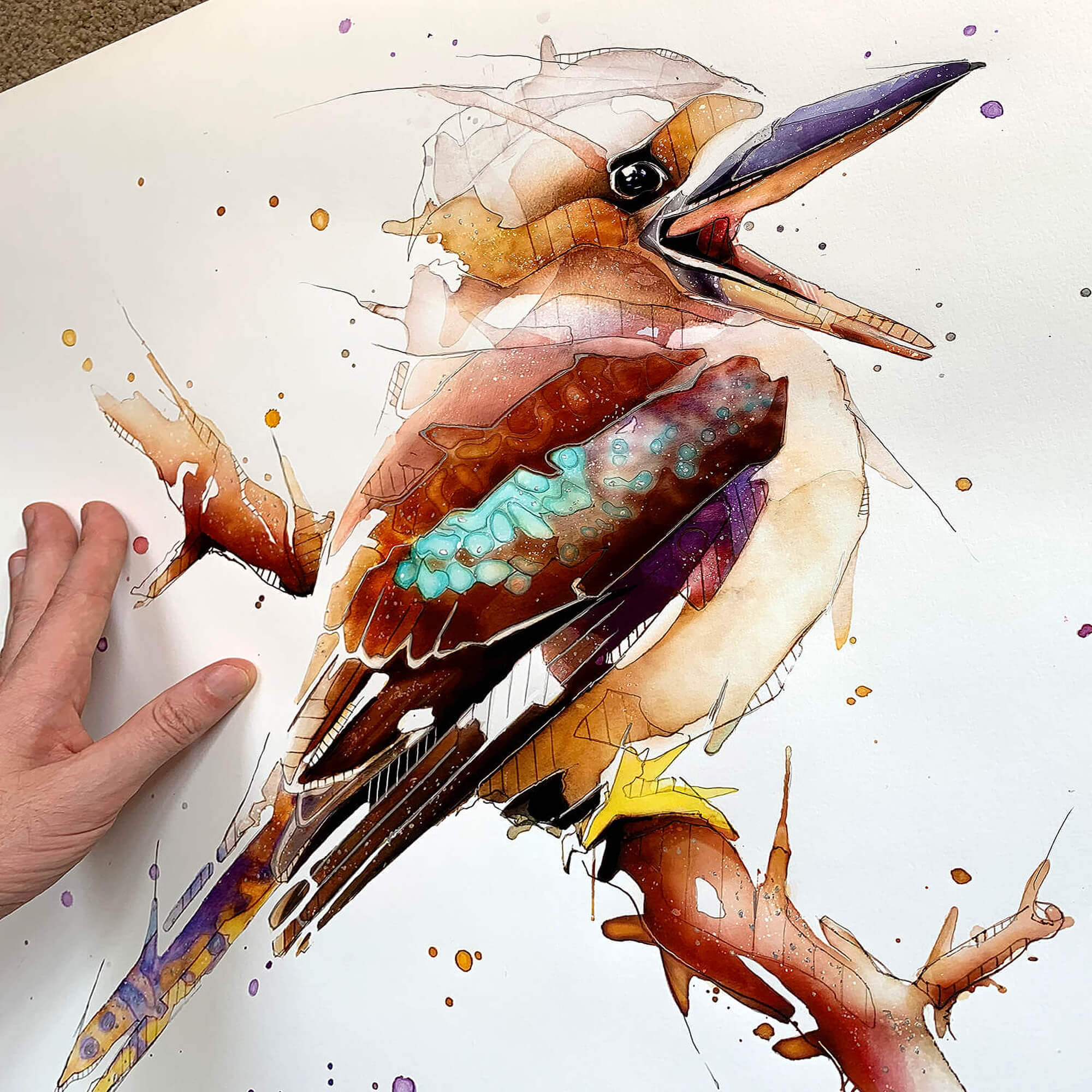 Kookaburra Canvas Print – jeremykyleart