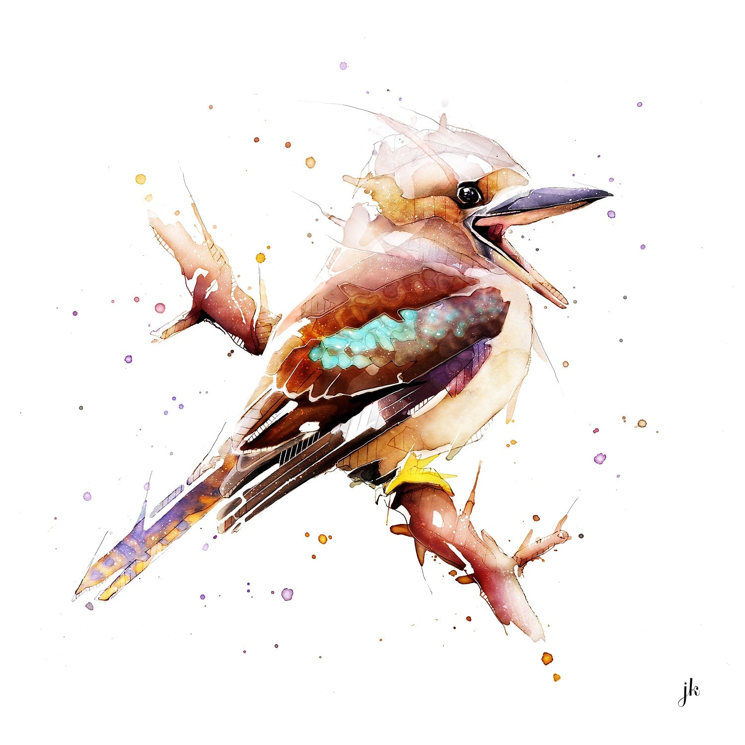 Kookaburra Canvas Print